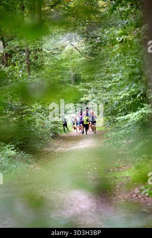 Gruppo di persone che corrono su un sentiero tortuoso attraverso una lussureggiante foresta verde Foto Stock