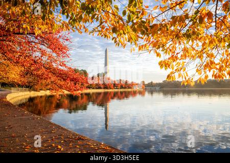 Washington Monument Tidal Basin Fall Colors Sunrise Washington DC // WASHINGTON DC - il monumento a Washington si riflette nel bacino di Tidal, circondato dai vibranti colori autunnali dei ciliegi. Questi alberi, tra cui il famoso ciliegio Yoshino (Prunus x yedoensis), si trasformano in autunno, mostrando brillanti sfumature di rosso, arancione e oro. Il bacino di Tidal, un bacino artificiale all'interno del West Potomac Park, è una caratteristica centrale del National Mall e dei Memorial Parks. Questo iconico paesaggio è gestito dal National Park Service. La scena viene catturata alla luce del sole dorato poco dopo l'alba. Foto Stock