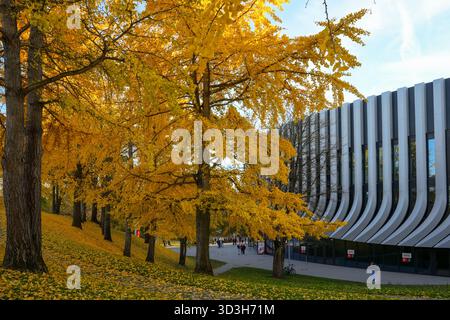 SAP Garden, Arena polifunzionale circondata da alberi di Ginkgo (Ginkgo Biloba), le cui foglie sono diventate giallo dorato in autunno Foto Stock