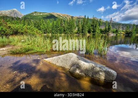 Vista di un tranquillo lago che riflette le torreggianti montagne e lussureggianti alberi verdi, con una grande roccia che riposa nel poco profondo primo piano, Vysoke Tatry, Preso Foto Stock