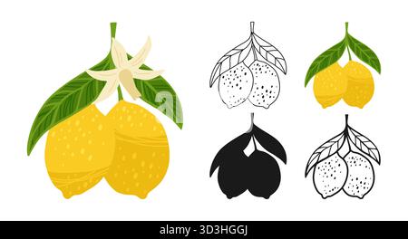 Set cartoni animati simbolo limone. Diversi rami di limone con foglie, icona a forma di doodle lineare con fiori o collezione silhouette. Succose agrumi stilizzati limoni astratti segno frutti disegno vettoriale a mano Illustrazione Vettoriale