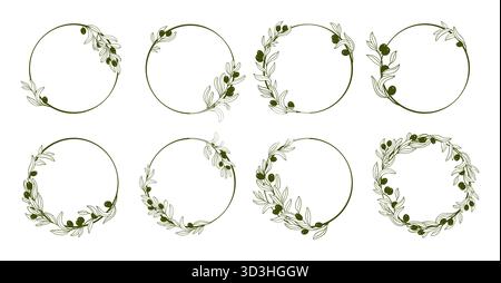 Set di illustrazioni vettoriali per rami di oliva e telai rotondi. Eleganti foglie botaniche disegnate a mano e olive donano un biglietto d'auguri, un poster e un biglietto d'auguri minimo. Diverse collezioni di Olive Branches Illustrazione Vettoriale
