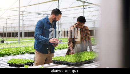 Azienda agricola, checklist e persone con piante in serra per ispezione per la crescita, i prodotti e la salute. Agricoltura, sostenibilità e agricoltori con Foto Stock