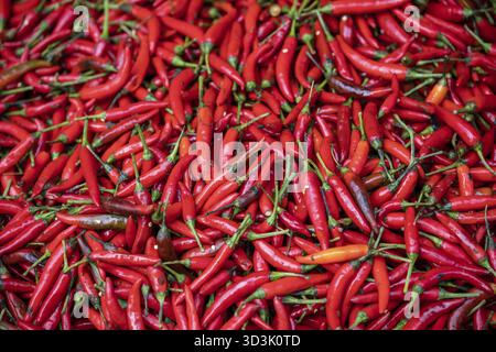 Chilis caldo rosso per la vendita immagazzinato in un grande arco tondo di vimini su un mercato di strada in Cina Foto Stock