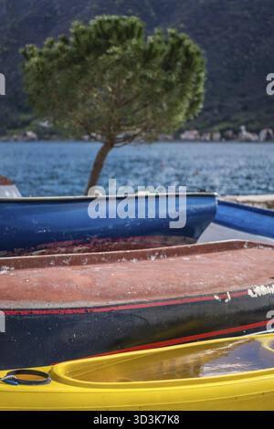 Albero solitario sulla riva e colorati ponti laterali delle piccole barche da pesca sulla riva della città di Perast, la baia di Cattaro, Montenegro Foto Stock
