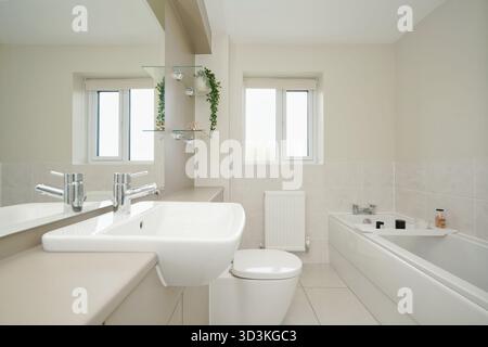 Bagno dal design moderno con finiture eleganti e luce naturale in una disposizione pulita e spaziosa Foto Stock