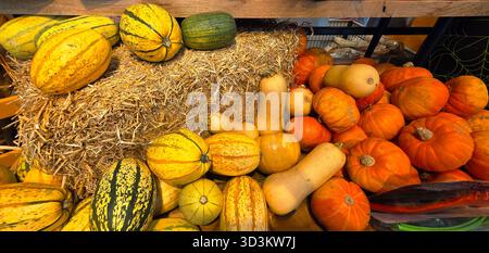 Varieta' colorata di zucche e buongustai disposti sulla paglia in un'esposizione del mercato, che mostra il raccolto autunnale e i prodotti stagionali. Foto Stock
