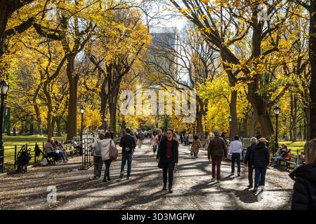 I turisti potranno trascorrere un pomeriggio autunnale a Central Park sulla panoramica Poets Walk, 2025, New York City, Stati Uniti Foto Stock
