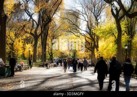 I turisti potranno trascorrere un pomeriggio autunnale a Central Park sulla panoramica Poets Walk, 2025, New York City, Stati Uniti Foto Stock
