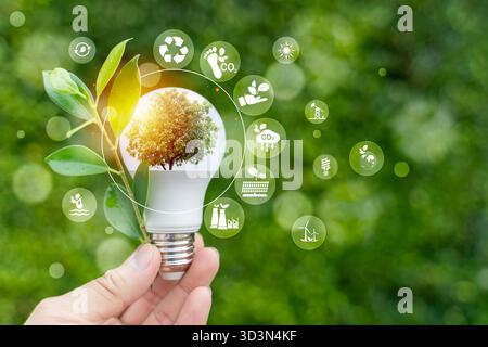 Concetto di energia rinnovabile e sostenibilità, lampadina LED portatile con foglie verdi e icone ecologiche digitali, simbolo della tecnologia pulita, inn Foto Stock