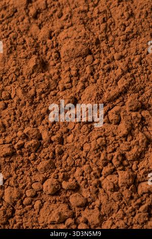 Polvere di cacao secco crudo organico in una ciotola Foto Stock