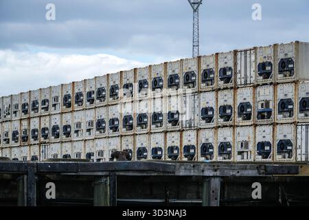 Contenitori refrigerati per spedizioni, noti come reefers, impilati in alto nel porto di Tauranga, nuova Zelanda, che mostrano la catena di approvvigionamento globale e il log marittimo Foto Stock