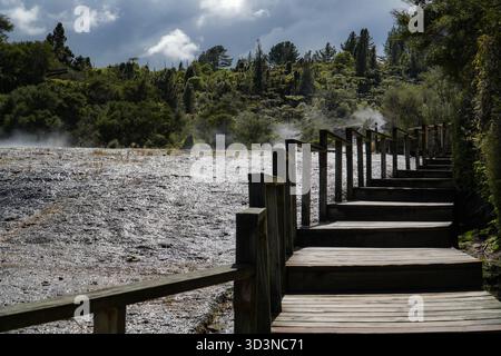 Il parco geotermico Orakei Korako presenta una passerella in legno per osservare terrazze fumanti e geyser attivi, tra cui il Diamante e lo Zaffiro. Foto Stock