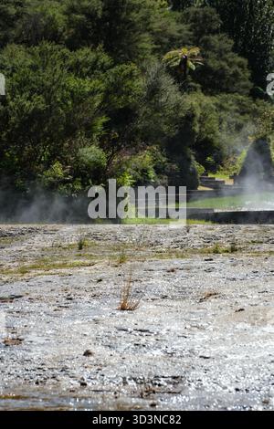 Il parco geotermico Orakei Korako presenta geyser di diamanti e zaffiro che emettono vapore, circondato da lussureggianti cespugli della nuova Zelanda e terrazze minerali. Foto Stock