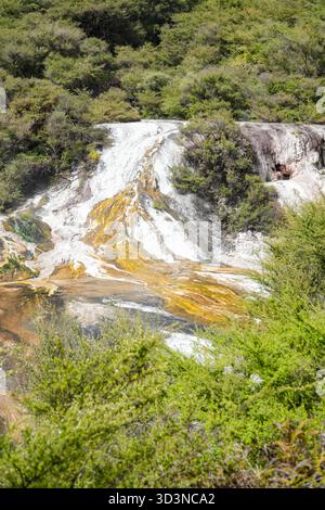 Il Parco geotermico Orakei Korako presenta terrazze di silice bianche e gialle a cascata con vibranti depositi minerali, circondate da cespugli autoctoni. Foto Stock