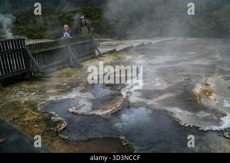Il Parco geotermico Orakei Korako presenta sorgenti calde fumanti e colorati depositi di minerali. I turisti osservano l'attività geotermica da un cinghiale recintato Foto Stock