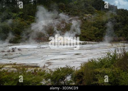 Il parco geotermico Orakei Korako presenta sfiati fumanti, sorgenti termali e terrazze bianche in silice, adagiate su una lussureggiante collina boscosa. Foto Stock
