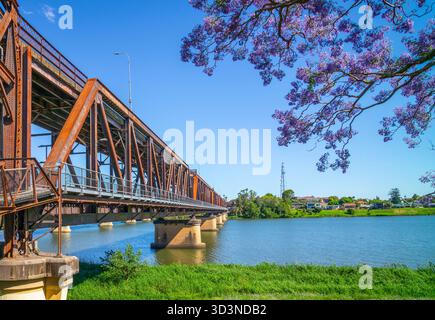 Grafton al culmine della stagione di Jacaranda, con il vecchio Bendy Bridge sullo sfondo Foto Stock