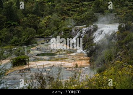 Il parco geotermico Orakei Korako presenta terrazze di silice fumante, vivaci piscine minerali e lussureggiante vegetazione autoctona, che mette in mostra un'attività geotermica unica Foto Stock