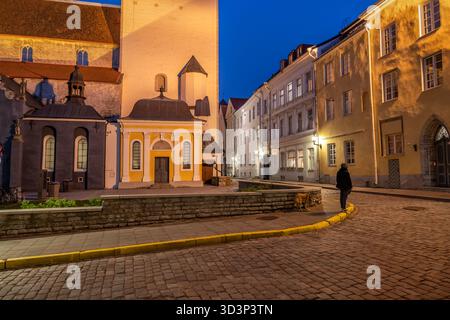 Città vecchia nella città di Tallinn di notte in Estonia. Chiesa e Museo di San Nicola e case storiche in via Ruutli e Niguliste. Foto Stock