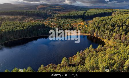 Uath Lochans Insh Scotland il grande lago e le colline circondate da alberi in una giornata di sole in autunno Foto Stock