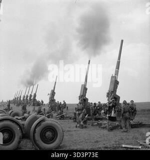 L'Esercito Britannico nel nord-ovest d'Europa 1944-45 3.7 pollici pistole del sessantesimo (città di Londra) difesa contraerea pesante reggimento fire a un salvo per celebrare la vittoria degli Alleati in Europa, 6 maggio 1945. Foto Stock