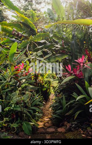 Sentiero in pietra attraverso il giardino tropicale di Uvita, Costa Rica Foto Stock