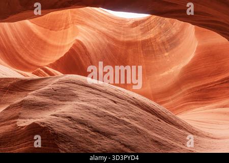 La luce del sole filtra attraverso le strette fessure dell'Antelope Canyon, illuminando le lisce e fluenti formazioni di arenaria in calde e vibranti sfumature di rosso An Foto Stock