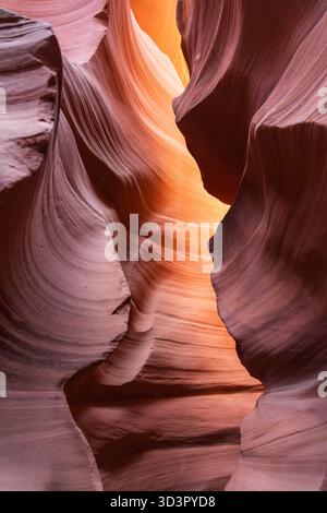 Onde maestose di rocce rosse e arancioni nell'Antelope Canyon creano uno spettacolo surreale. La luce filtra attraverso passaggi stretti, illuminando il Foto Stock