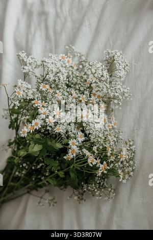 Bouquet bianco su foglio bianco alla luce del sole Foto Stock