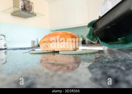 Una pagnotta di pane appena sfornata si raffredda su un bancone della cucina dopo essere stata rimossa dalla muffa. La crosta dorata e i semi di sesamo riflettono il calore e la S Foto Stock