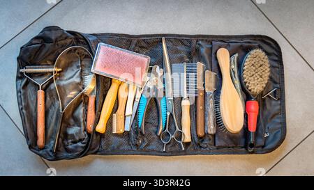 Un set completo di strumenti per la cura degli animali domestici, tra cui spazzole, pettini, forbici e rifinitori, ordinatamente organizzati su un tappetino in tessuto. Ideale per la cura del corpo Foto Stock