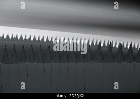 I triangoli bianchi appuntiti si estendono come denti di squalo e un'altra fila di denti risulta sfocata sullo sfondo Foto Stock