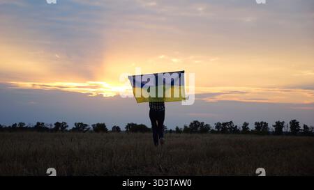 Donna Ucraina che va con la bandiera sollevata dell'Ucraina sopra la testa sul campo di grano sullo sfondo di un bellissimo tramonto. Signora che cammina con lo stendardo nazionale Foto Stock