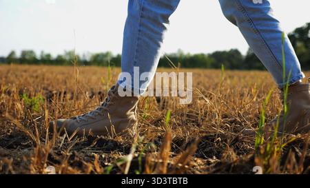 I piedi femminili dell'agricoltore attraversano il prato di grano al tramonto. Gambe di agronomo in stivali che camminano tra le piantagioni di orzo al crepuscolo. Concetto di Foto Stock