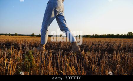 I piedi femminili dell'agricoltore attraversano il prato di grano al tramonto. Gambe di agronomo in stivali che camminano tra le piantagioni di orzo al crepuscolo. Concetto di Foto Stock