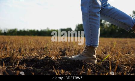 I piedi femminili dell'agricoltore attraversano il prato di grano al tramonto. Gambe di agronomo in stivali che camminano tra le piantagioni di orzo al crepuscolo. Concetto di Foto Stock