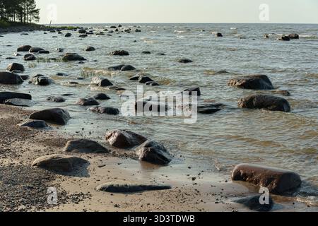 L'unica costa rocciosa di Mērsrags sulla costa del Golfo di riga, in Lettonia. Grandi massi e pietre si spargono attraverso l'acqua poco profonda, simboleggiando il natu Foto Stock