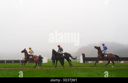 I corridori e i piloti si posizioneranno davanti all'ostacolo Oddschecker handicap all'ippodromo di Exeter. Data foto: Venerdì 7 novembre 2025. Foto Stock