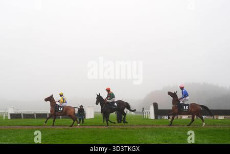 I corridori e i piloti si posizioneranno davanti all'ostacolo Oddschecker handicap all'ippodromo di Exeter. Data foto: Venerdì 7 novembre 2025. Foto Stock