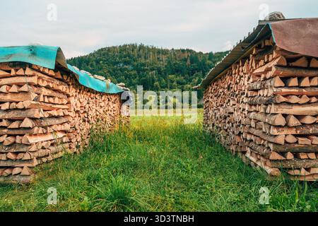 Spaccature di legna da ardere impilate circondate da alberi in una fattoria nel prato di campagna. Messa a fuoco selettiva. Foto Stock