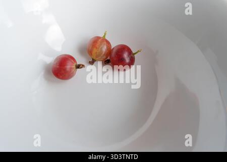 diverse uva spina matura disposte in una ciotola bianca. Una bacca viene tagliata a metà, rivelandone la polpa e i semi. Lo sfondo è una ciotola bianca e pulita Foto Stock
