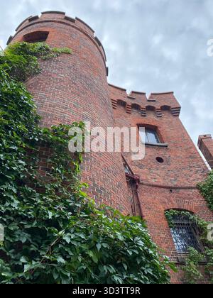 Una vista verticale verso l'alto della Torre Dohna, una fortificazione in mattoni rossi del XIX secolo che ospita il Museo dell'Ambra di Kaliningrad, coperto di edera verde. Foto Stock