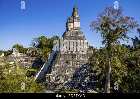 Tempio 1, Tempio del grande Giaguaro, Tikal, il più grande complesso cerimoniale Maya Foto Stock