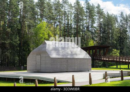 Immagine ad angolo basso di un futuristico edificio in legno nella foresta costruito con tavole strette e senza finestre, non dipinto, struttura in legno naturale, terra in legno Foto Stock