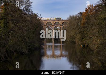 Treno regionale, treno regionale, colori del treno sul viadotto ferroviario, viadotto, ponte ferroviario, attraverso il fiume Enz, Bietigheim-Bissingen, Baden-Wuerttemberg Foto Stock