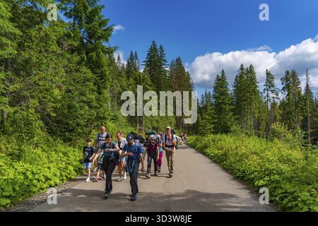 Persone che camminano lungo il sentiero per Morskie Oko nel Parco Nazionale Tatra nel sud della Polonia Foto Stock