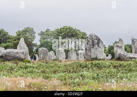 I campi di menhir a Carnac dnas Morbihan, in Bretagna, Francia Foto Stock
