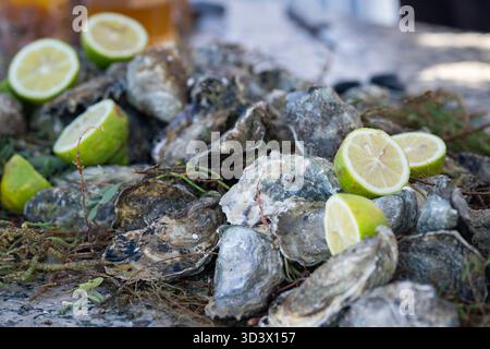 Ostriche fresche (Ostrea edulis) in vendita al mercato del pesce di Essaouira, Marocco. Ostriche fresche si accendono sul mercato del pesce nel porto di Essaouira medina, vendita di pesce. Foto Stock
