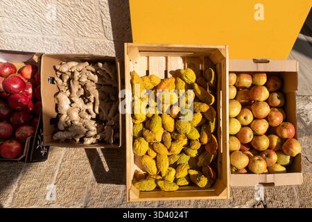 Vista dall'alto di casse di legno e scatole di cartone piene di prodotti freschi: Melograni e mele rosso brillante, radici di zenzero beige e carruba gialla Foto Stock